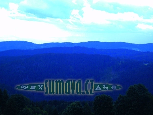 Srní