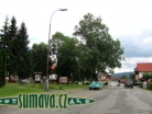 Srní