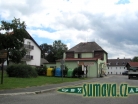 Srní
