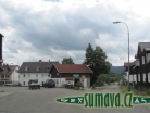 Srní