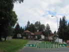 Srní