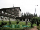 Srní