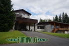 Srní
