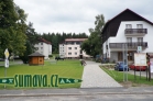 Srní