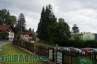 Srní