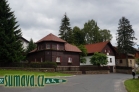 Srní