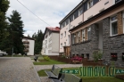Srní