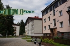 Srní