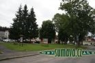 Srní