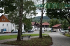Srní