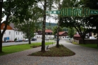 Srní