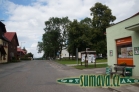 Srní