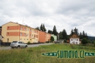 Srní