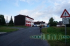 Srní