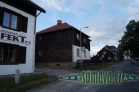 Srní