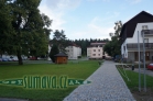 Srní