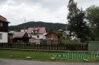 Srní