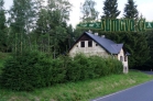 Srní