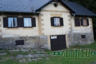 Srní
