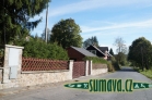 Srní