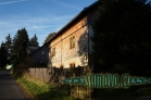 Srní
