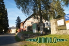 Srní