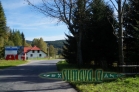Srní