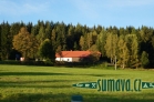 Srní