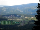 Srní