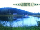 Srní