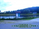 Srní