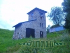 Srní