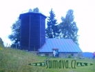 Srní