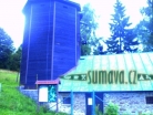 Srní