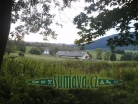 Srní
