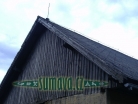 Srní