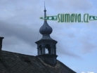 Srní