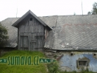 Srní