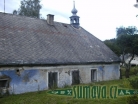 Srní