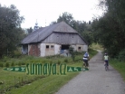 Srní