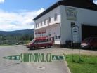 Srní