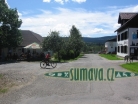 Srní