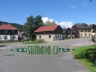 Srní
