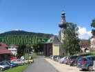 Srní