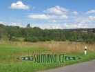Srní