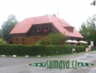 Srní