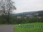 Srní