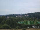 Srní