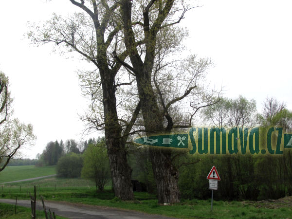 Svojšice