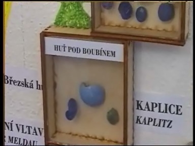 Toulavá kamera - Nezdice na Šumavě, korálky